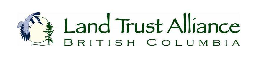 LTABC Logo LTABC Logo